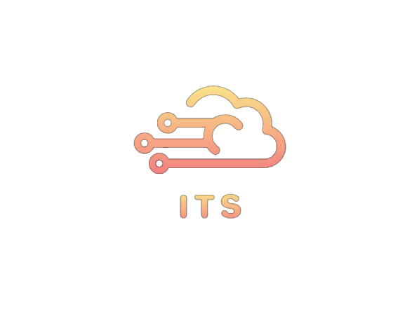 ITS - نظم تقنية المعلومات